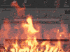 fire(1).jpg
